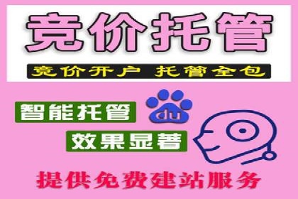 成功托管SEM竞价，实现品牌快速曝光