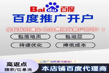 成功案例：sem竞价托管的智慧与策略